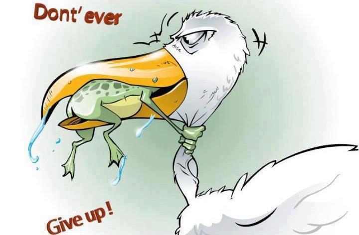 Kuweight 64: HUMOR - DON'T EVER GIVE UP