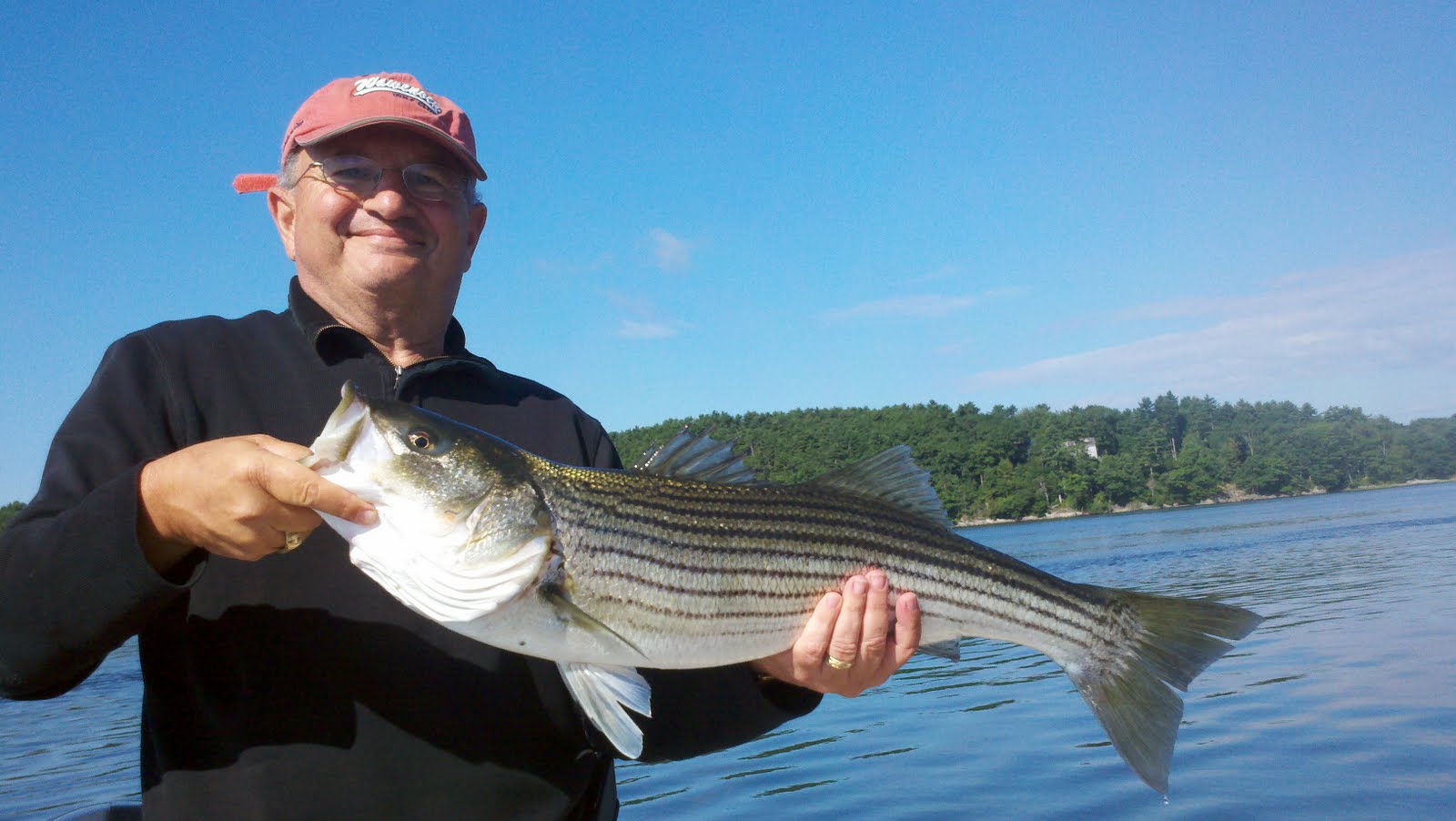 Maine Striper Fishing Charters & Reports Hotline 2076910745 Maine