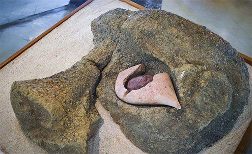 aringa ora ojo moái moáis anakena playa de isla de pascua misterio historia sergio rapu haoa descubrimiento coral rostros vivientes antepasados easter island