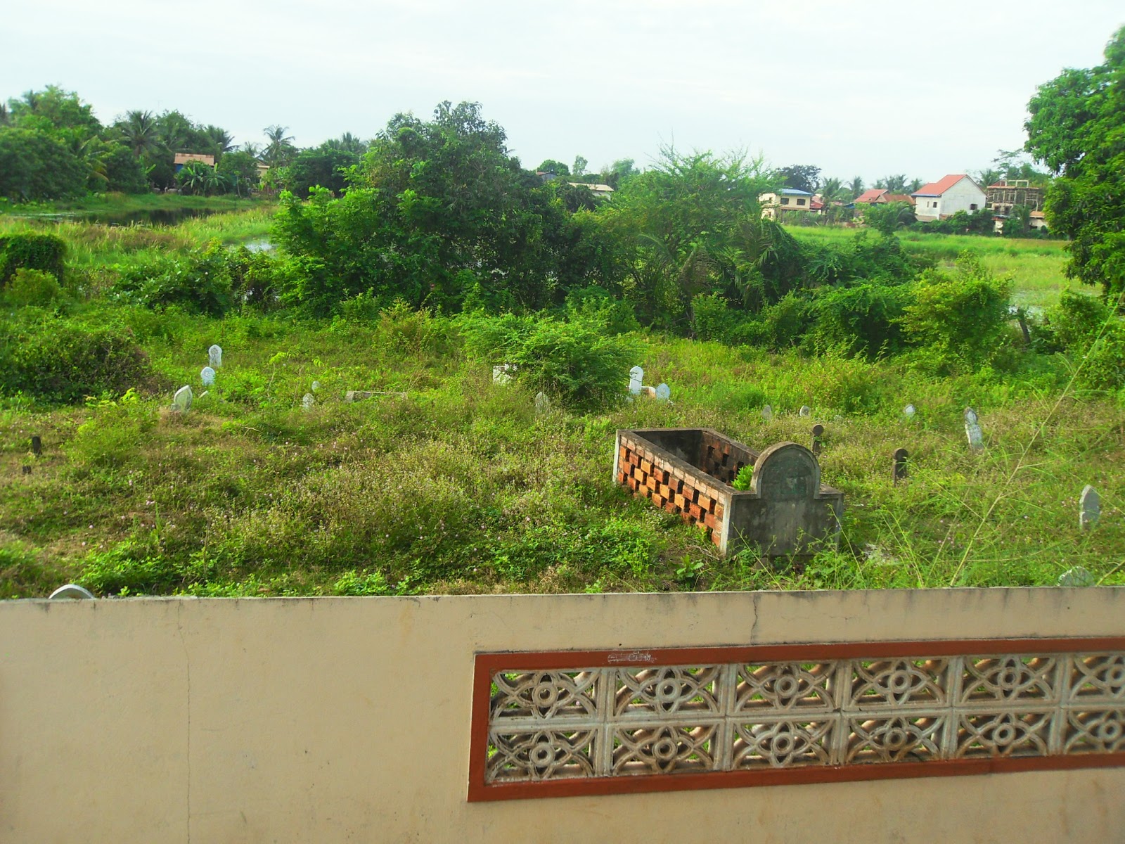 SDC16933.JPG