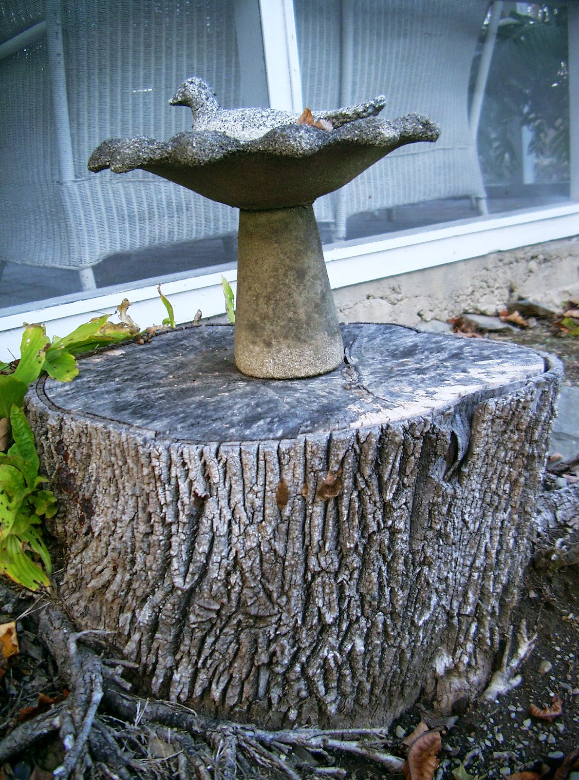 wing cottage mini birdbath ©linda nelson 2014