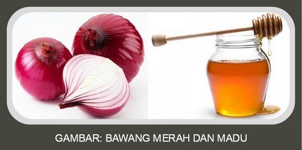 Bawang Merah dan Madu Bawang Merah dan Madu