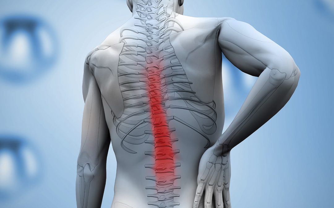 24 Spinal Cord Injuries Questions and Answers