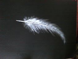 Feather ~ My Art