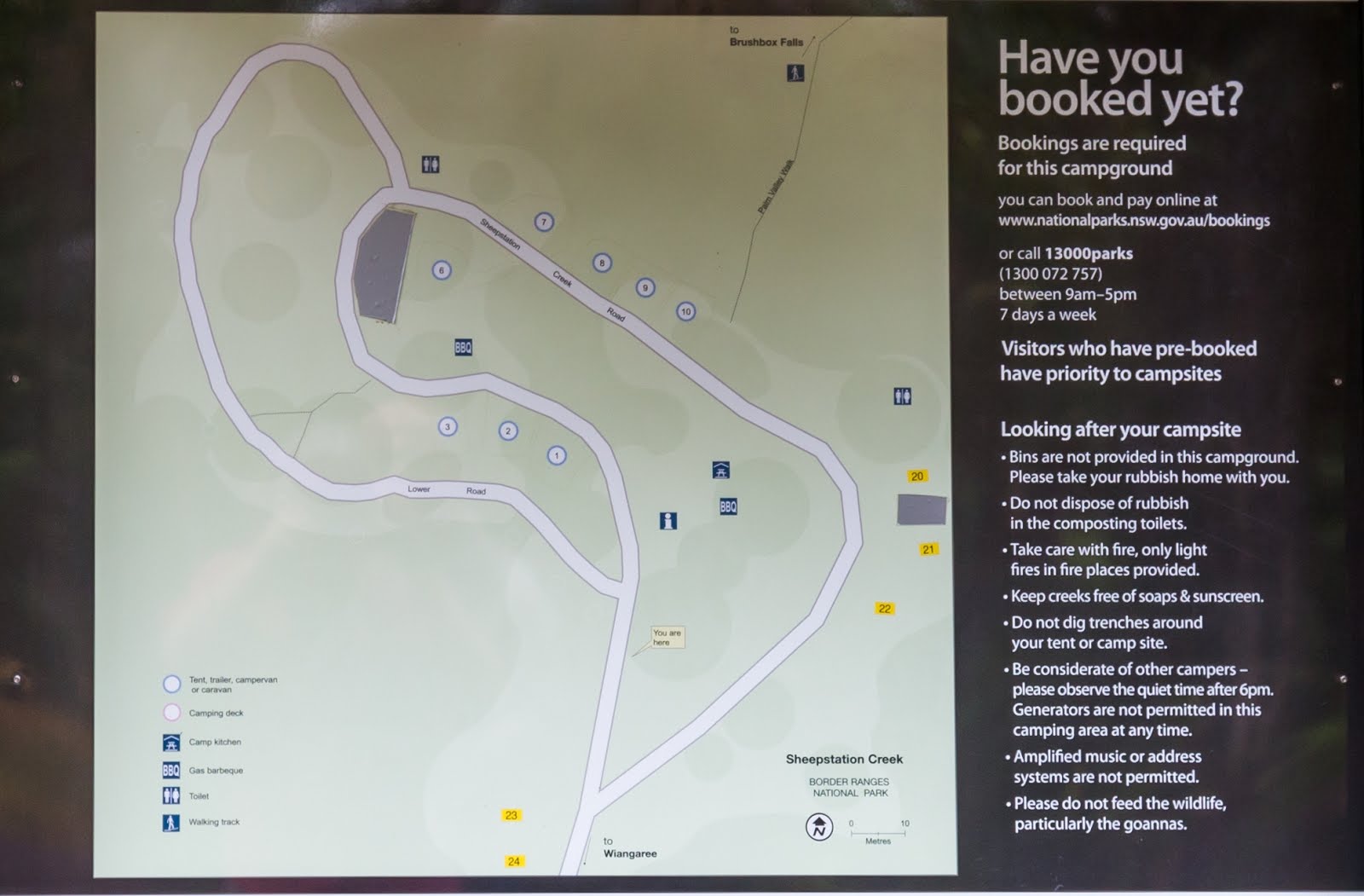 National Park Odyssey Sheepstation Creek Campground, Border Ranges National Park, NSW.