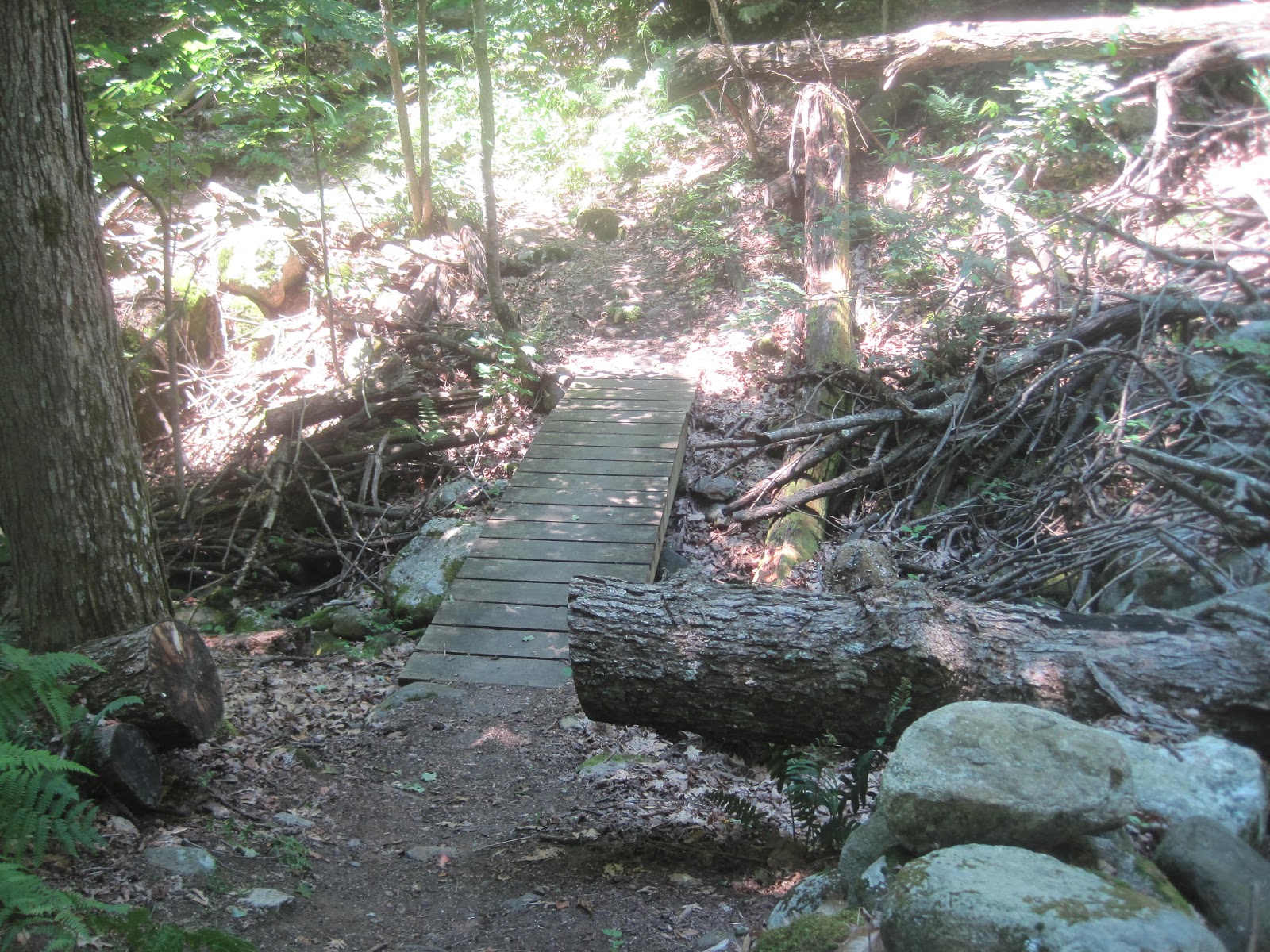 Mt.Tom Billy Goat 2 Chapel Brook Reservation Ashfield Ma. Ashfield