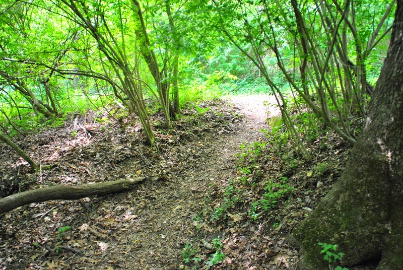ridley creek state park bike trail