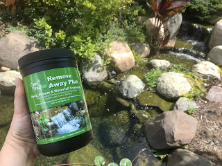 spring pond treatments spring pond treatments