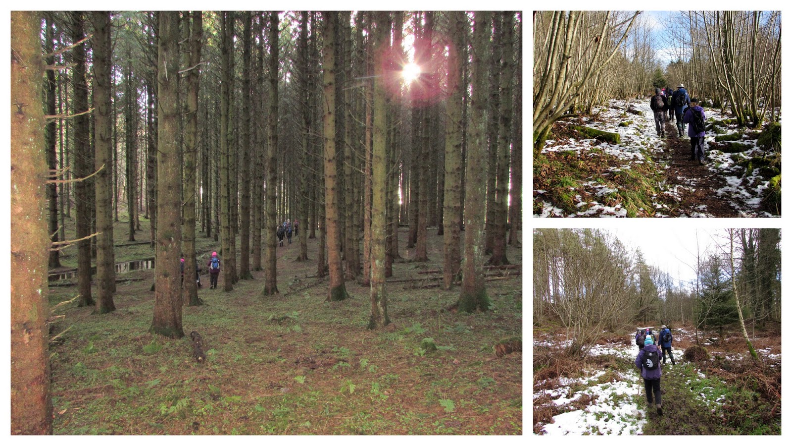 The Glebe Blog Wigtownshire RamblersSt Helena IslandGlenluce Abbey January 2015