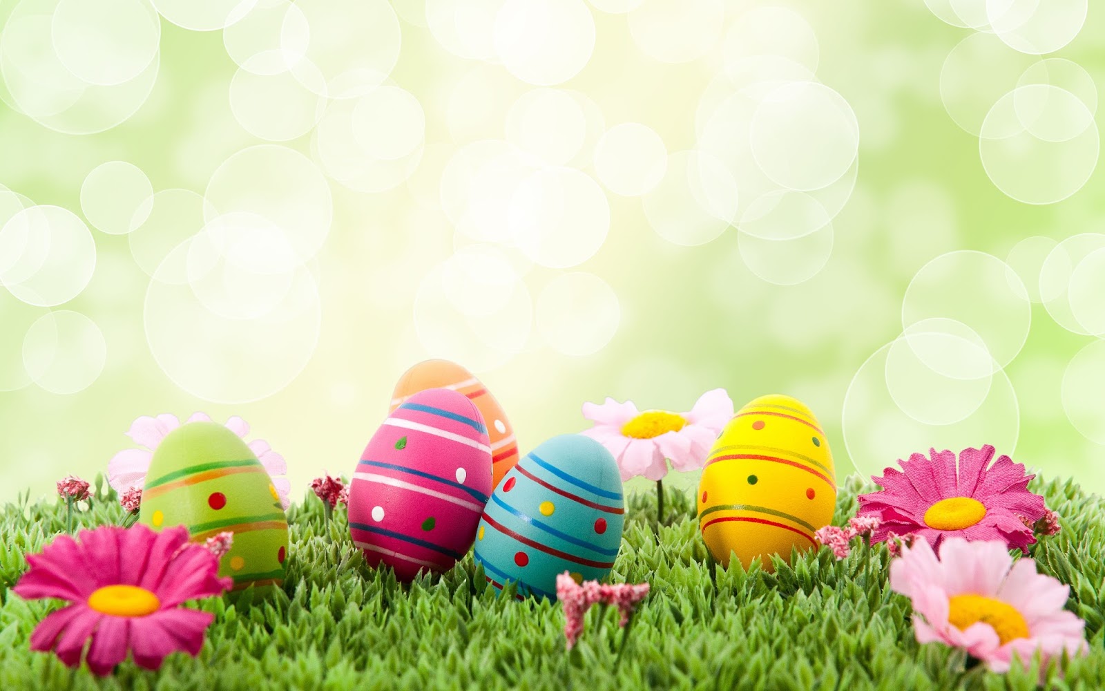 Happy Easter egg pictures and wallpapers 2021