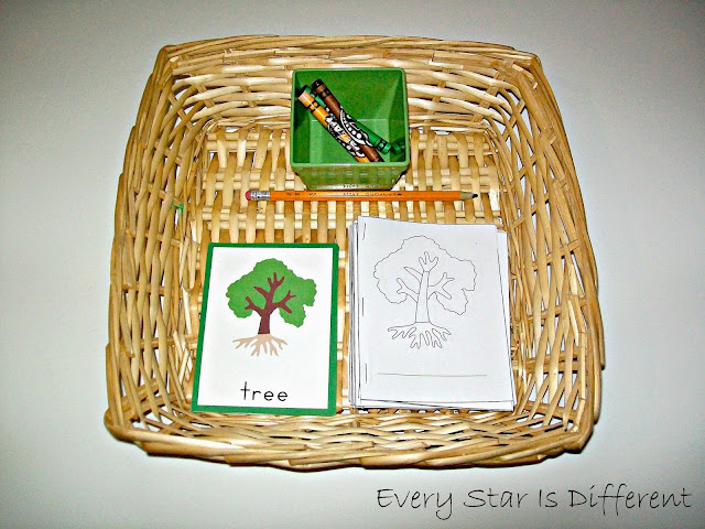 Parts of a Tree Activity for Kids