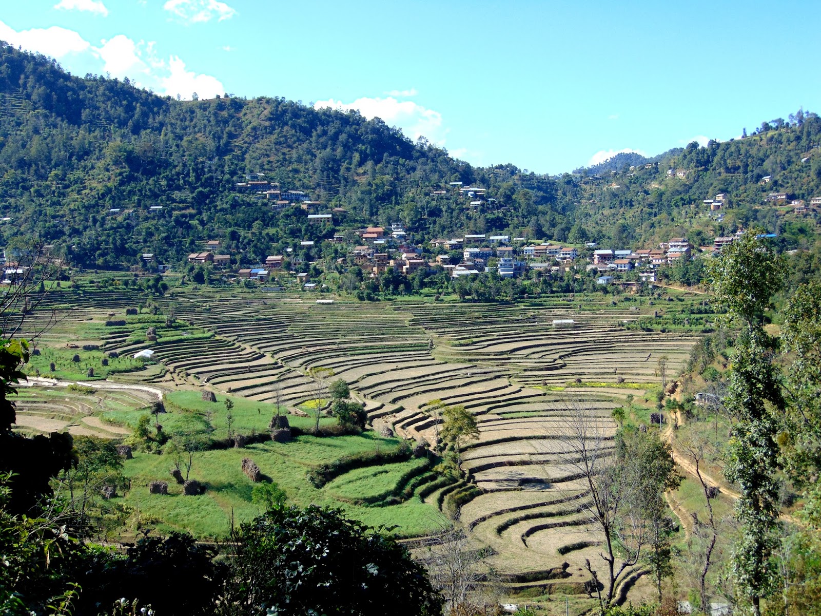Mis viajes por el Mundo -Nepal-: BALTHALI