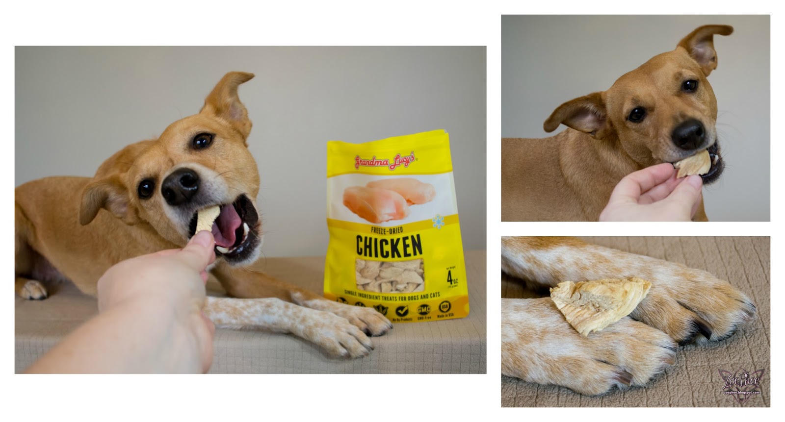 ZoePhee Grandma Lucy's Pet Food & Treats Review & Giveaway!