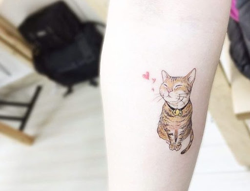 Este gatinho bonito