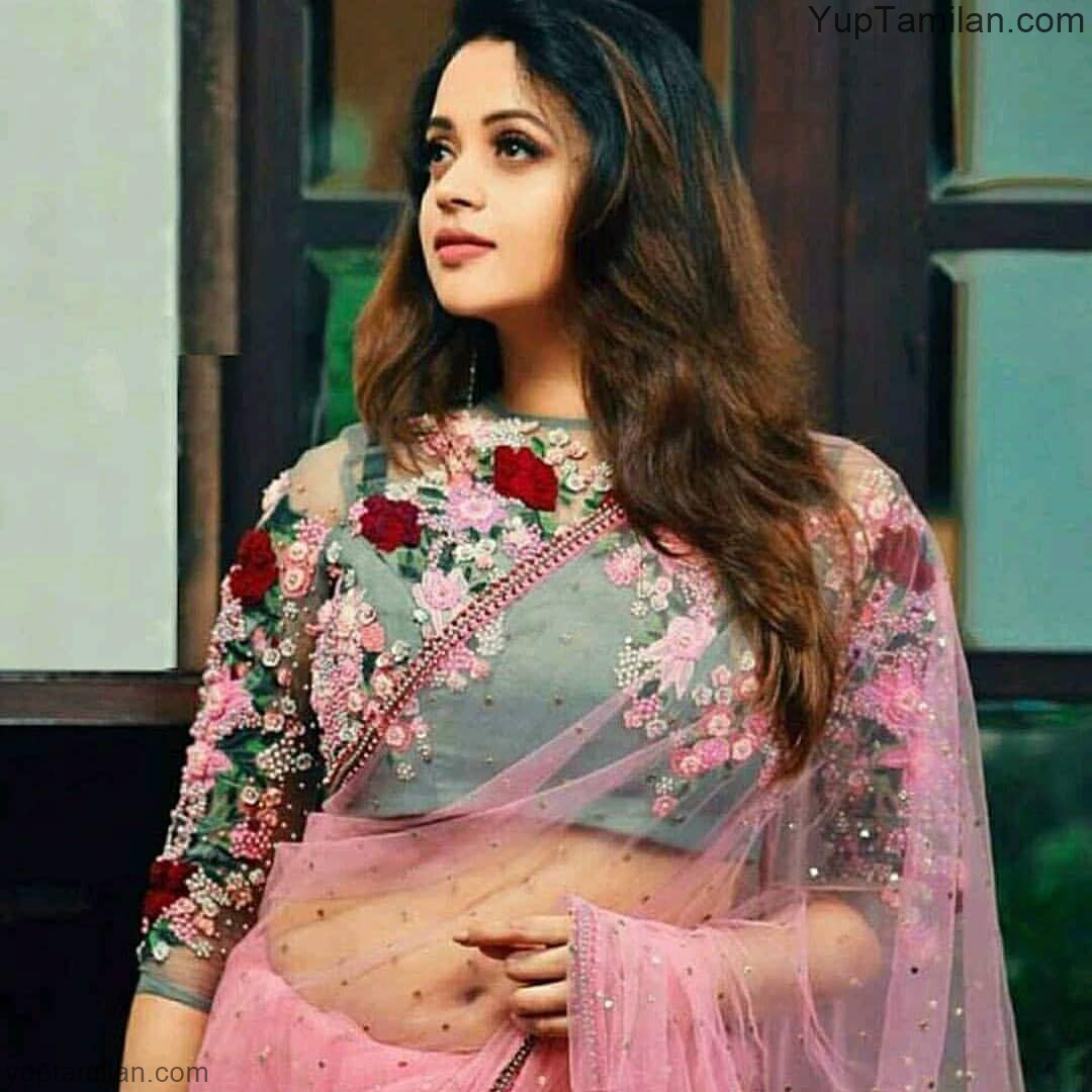 South Indian Actress Saree Photos Hottest Saree Pics With Glamourous Show South indian actress ayesha beautiful stills in saree. south indian actress saree photos