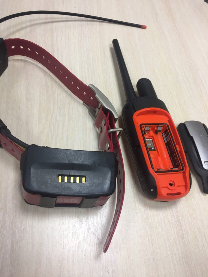 Навигатор гармин астро 320 с ошейником. Garmin astro 320 dc50. Гармин 320 с ошейником. Навигатор гармин астро 320 с ошейником. Для навигатора гармин 320 астра.