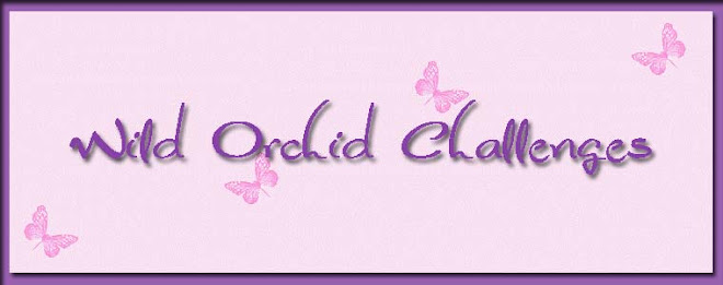 Wild Orchid challenges