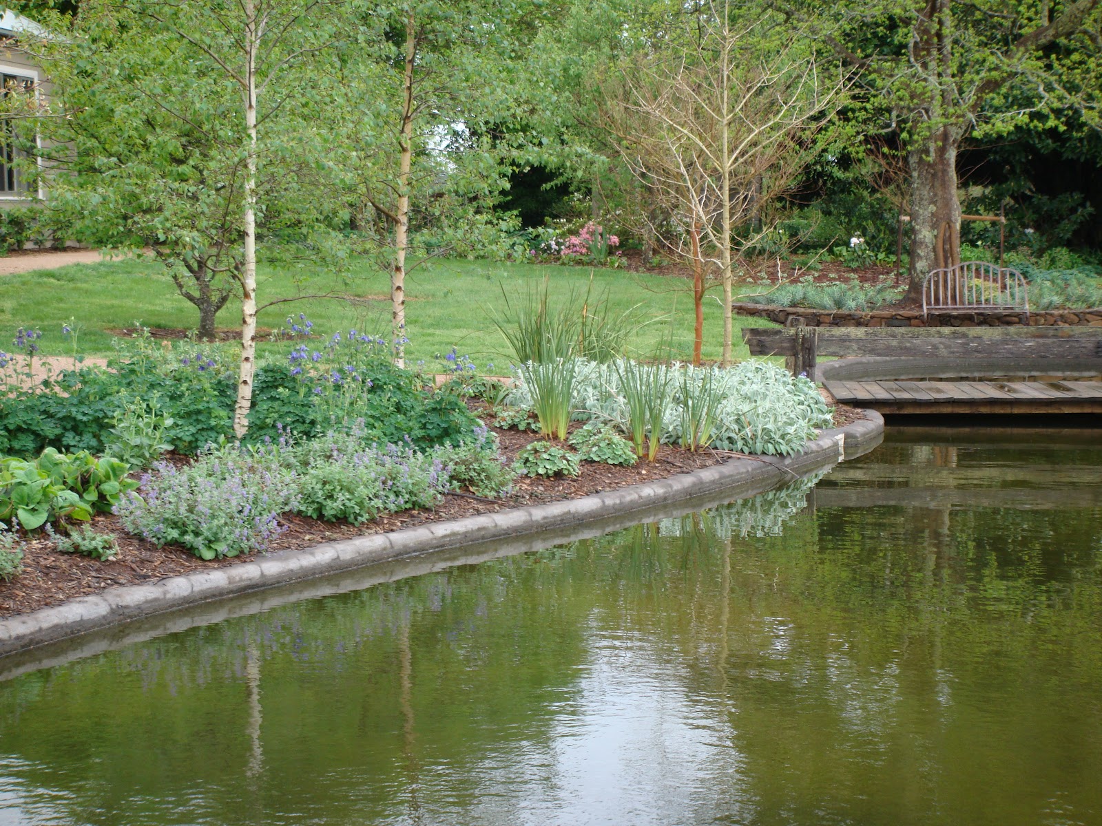 the lime walk BEFORE AND AFTER A GARDEN POND