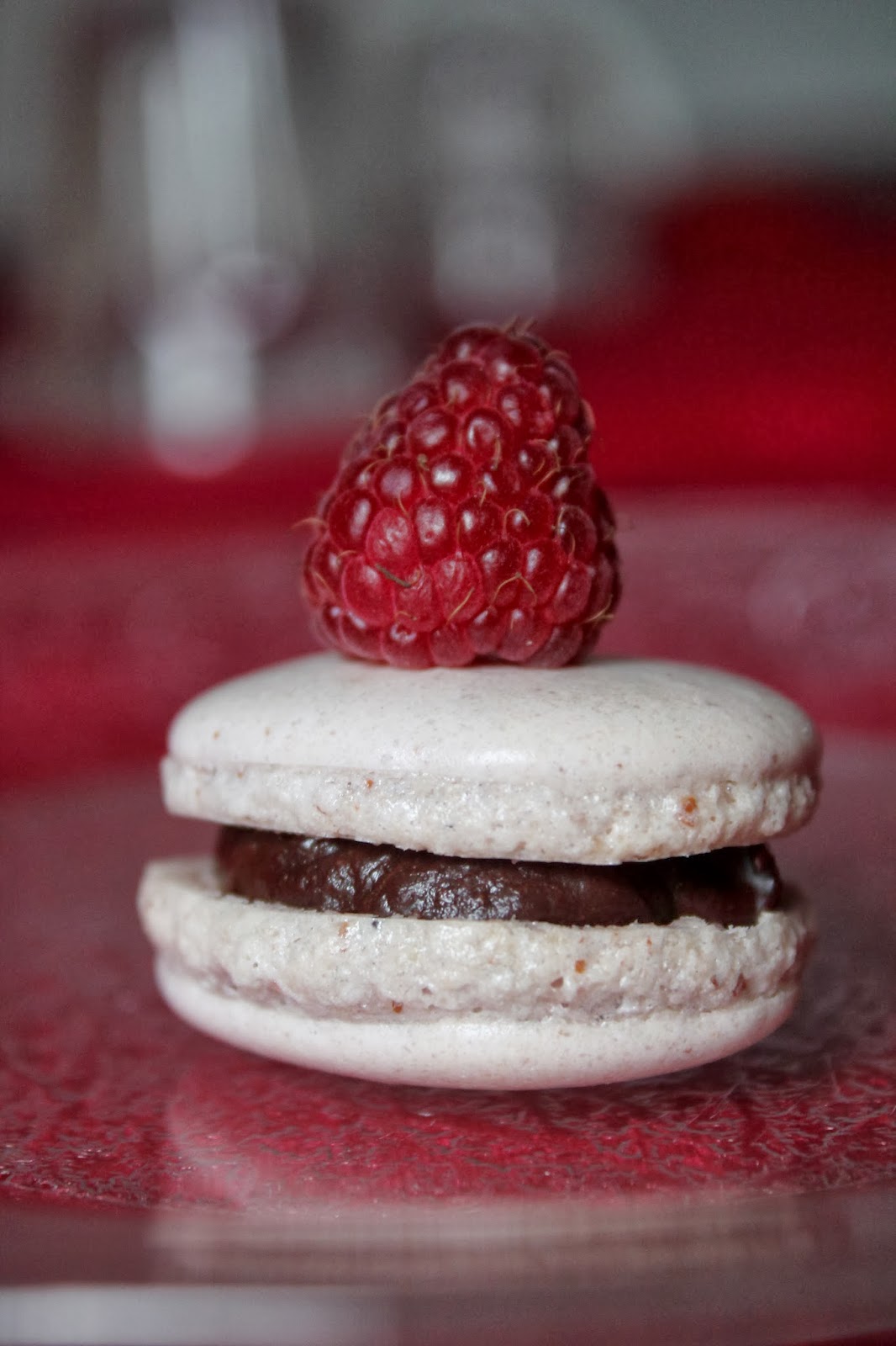 Macarons noix de coco et chocolat blanc et macarons chocoframboises