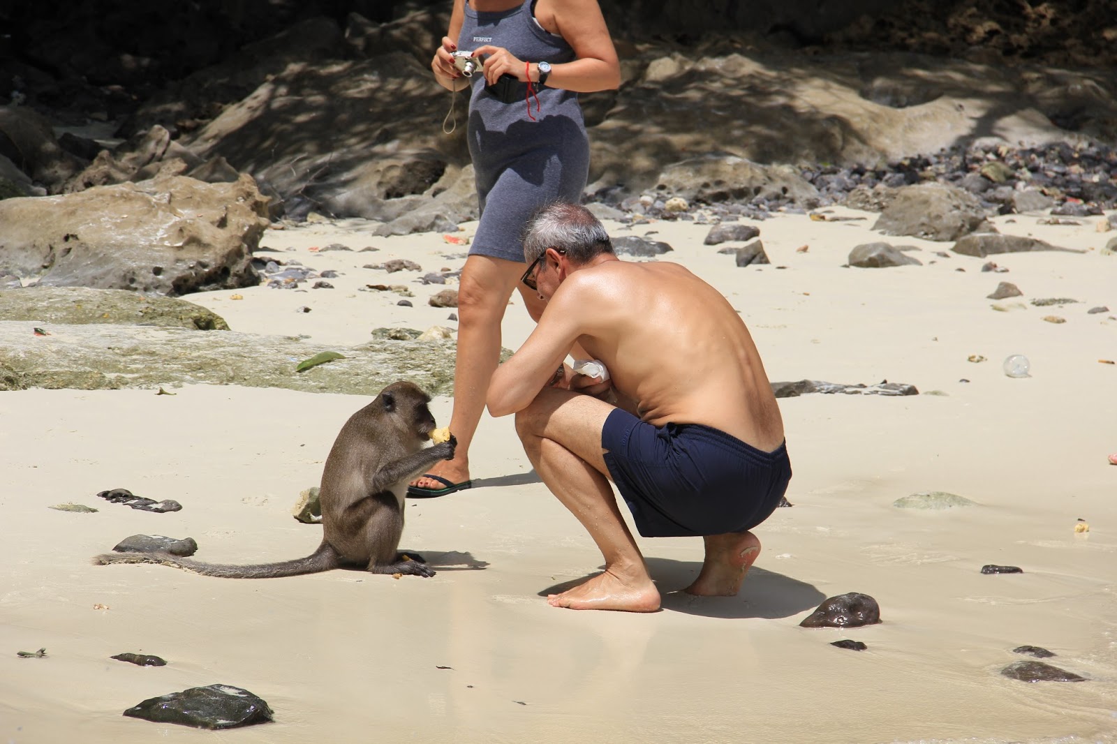 Обезьяна пляж