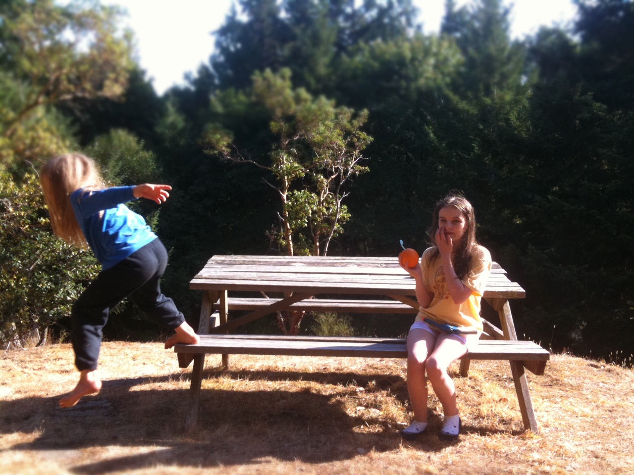 The Wonderful Happens Marconi plays the mamba...