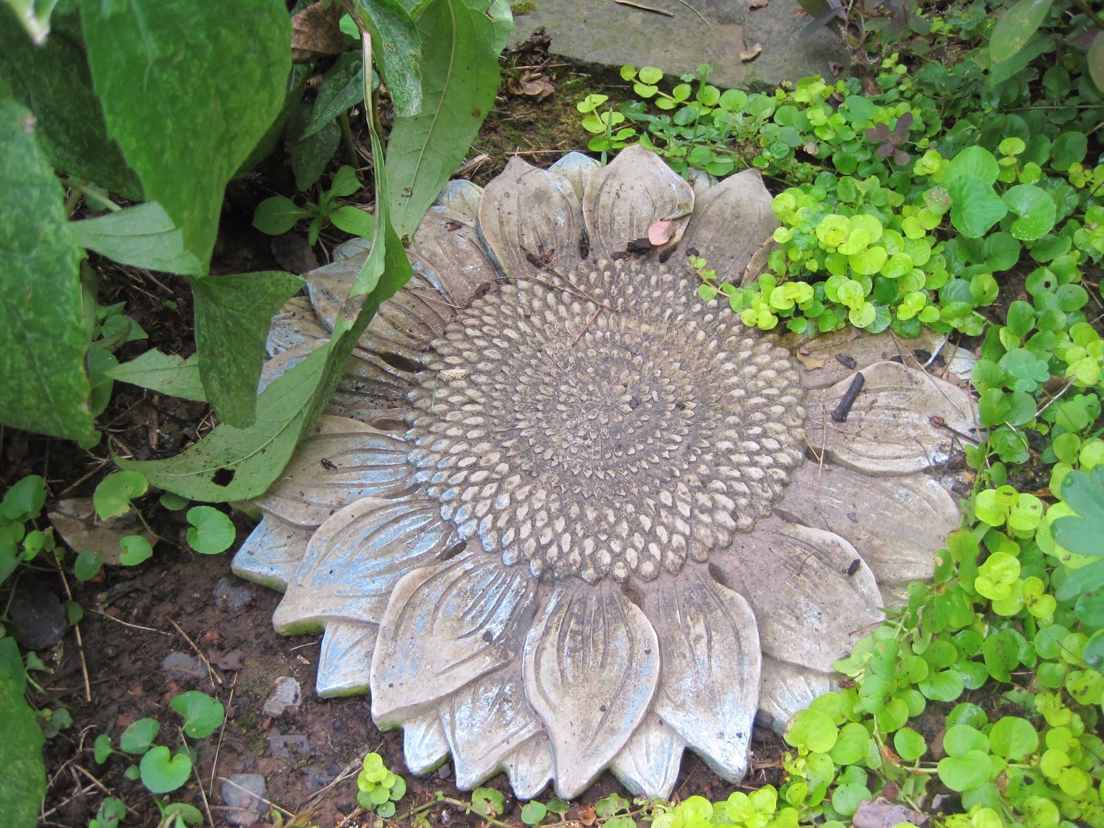 In and Out of My Garden: Garden Ornaments
