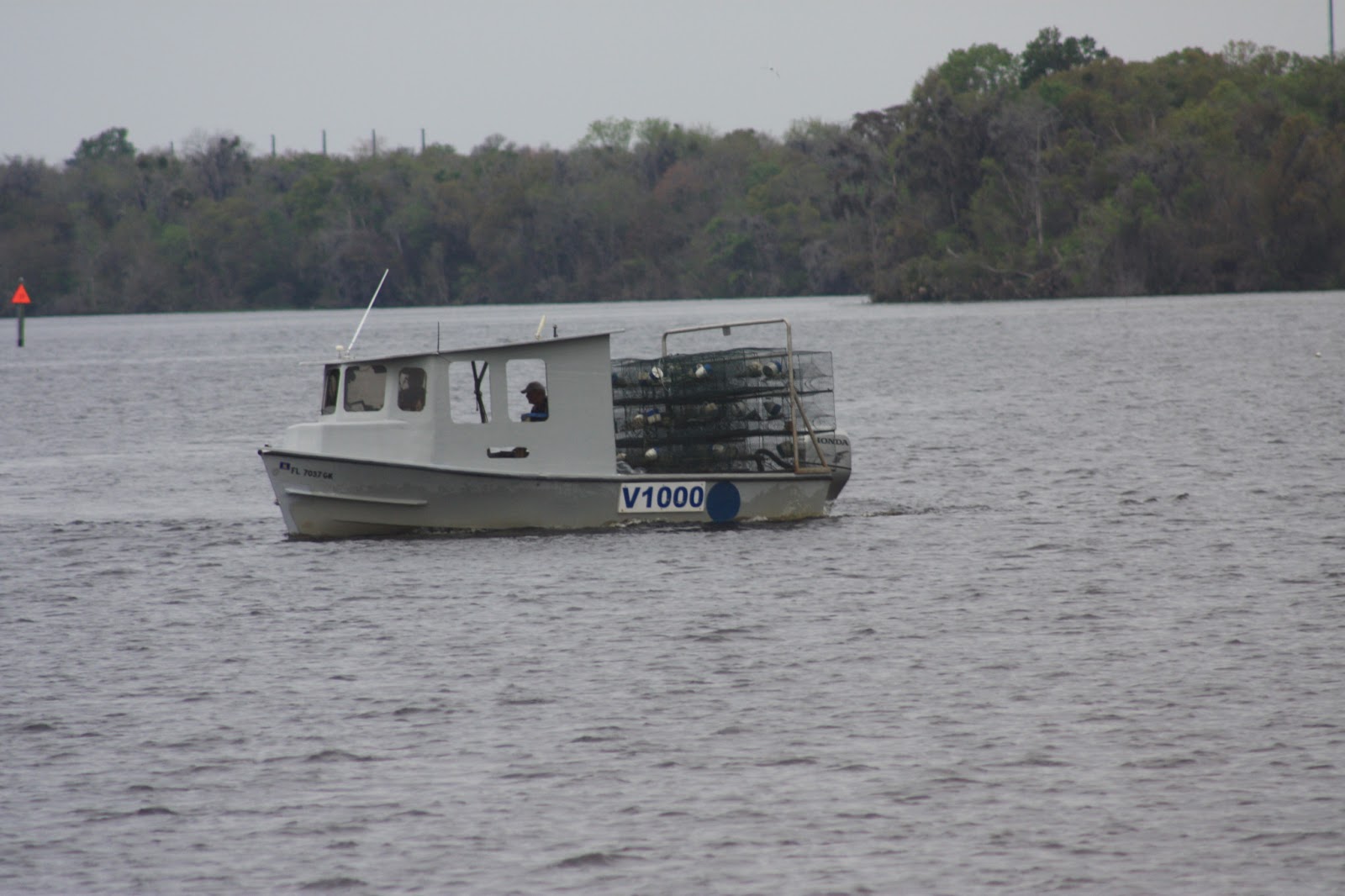 Meandering Joy Palatka to Welaka