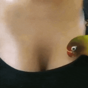90mimb_pm3d27OwV11wd3f6xo1_400.gif