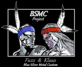 Creators: BSMC Project      Silvery Brothers