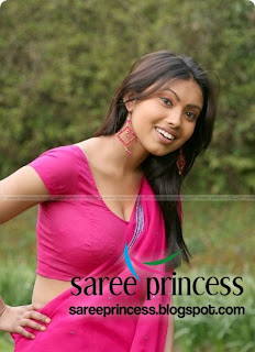 South indian actress Srijana shocking exposure in pink sari stills