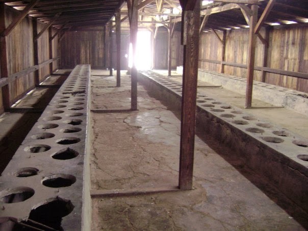 Auschwitz Birkenau tuvaletleri