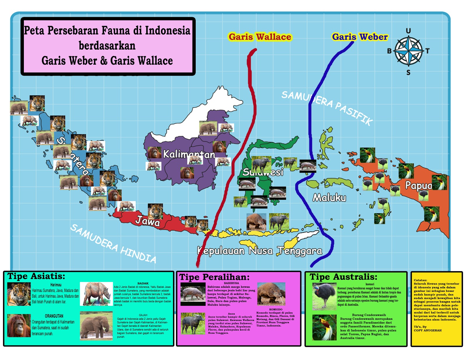 Makalah Peta Persebaran Fauna Di Indonesia Berdasarkan Garis