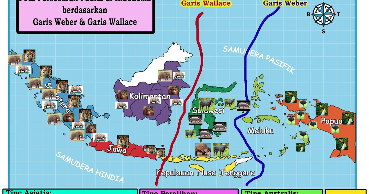 makalah PETA PERSEBARAN FAUNA DI INDONESIA BERDASARKAN