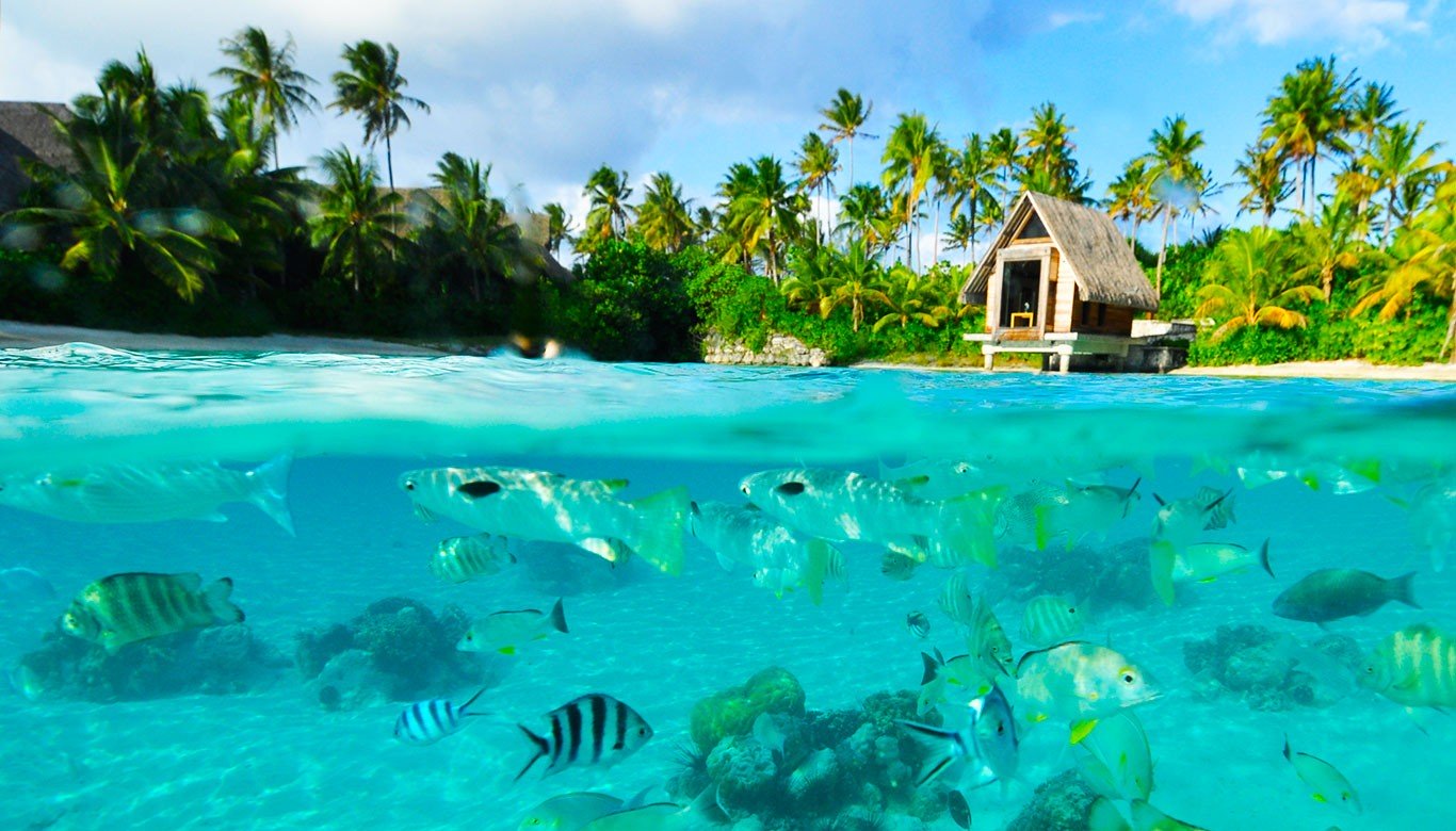 What Happened In Bora Bora Amazing Places