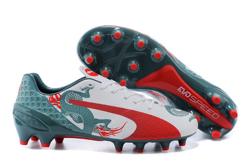 kasut bola puma evospeed