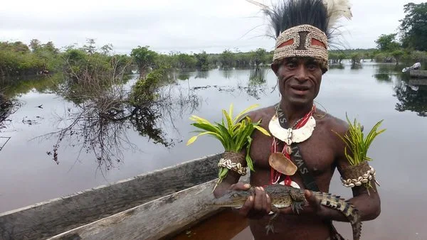 Tribes, Predators & Me - Crocodile People of New Guinea - Photo copyright BBC Natural History Unit (All Rights Reserved)