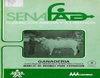 Preparación y manejo de bovinos para exposición 2 | SENA preparación-y-manejo-de-bovinos-para-exposición