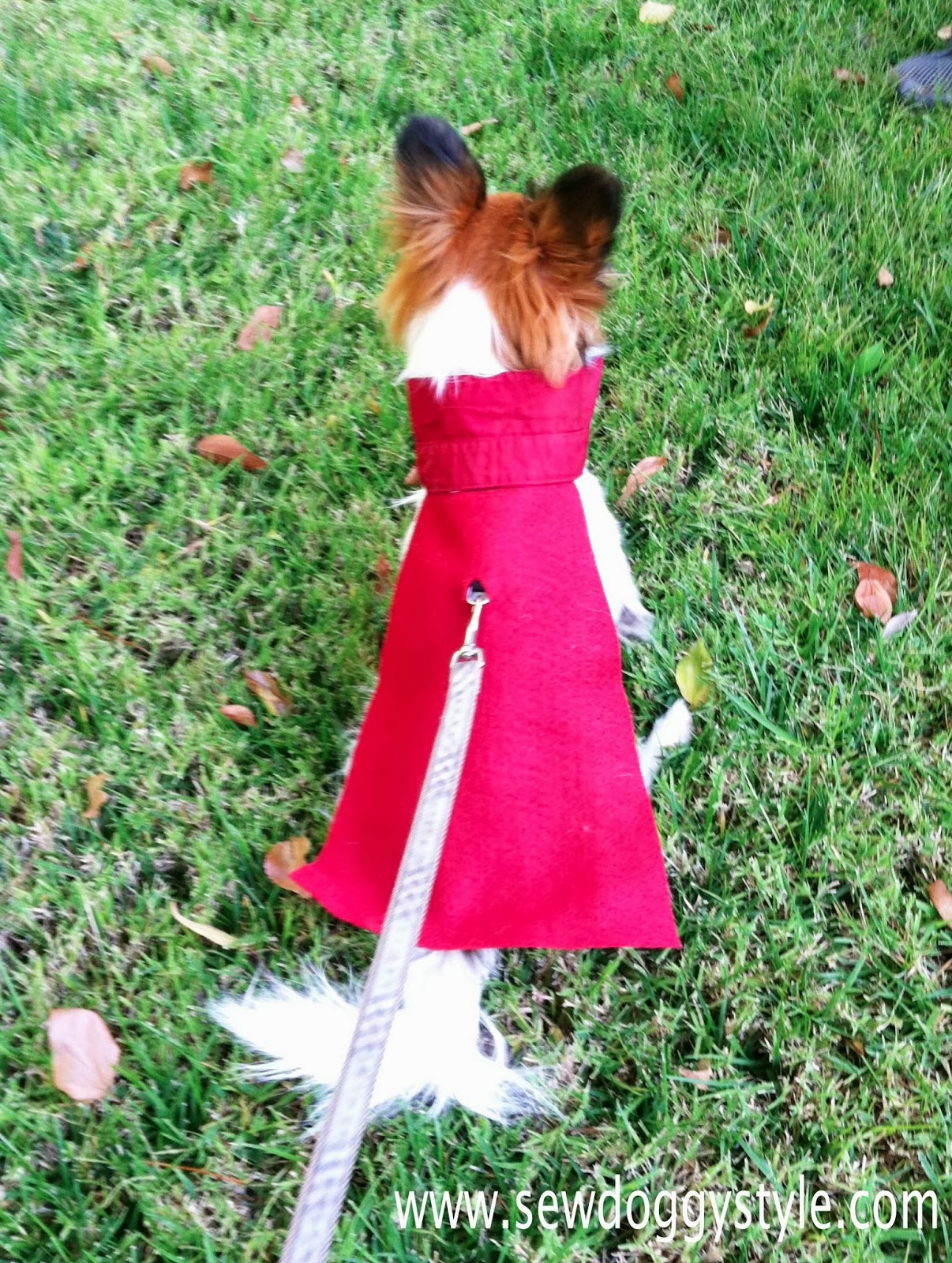 Sew DoggyStyle DIY No Sew Dog Cape