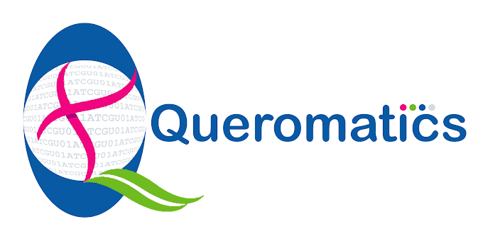 Queromatics: Human Helix to Healthcare
