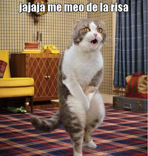 Imagenes de animales chistosos con frases de risa para whatsapp Imagenes - animales - chistosos - frases - risa - whatsapp