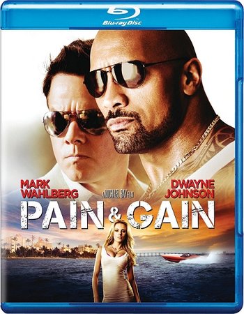 Pain & Gain 2013 Dual Audio Hindi 480p BluRay 400MB