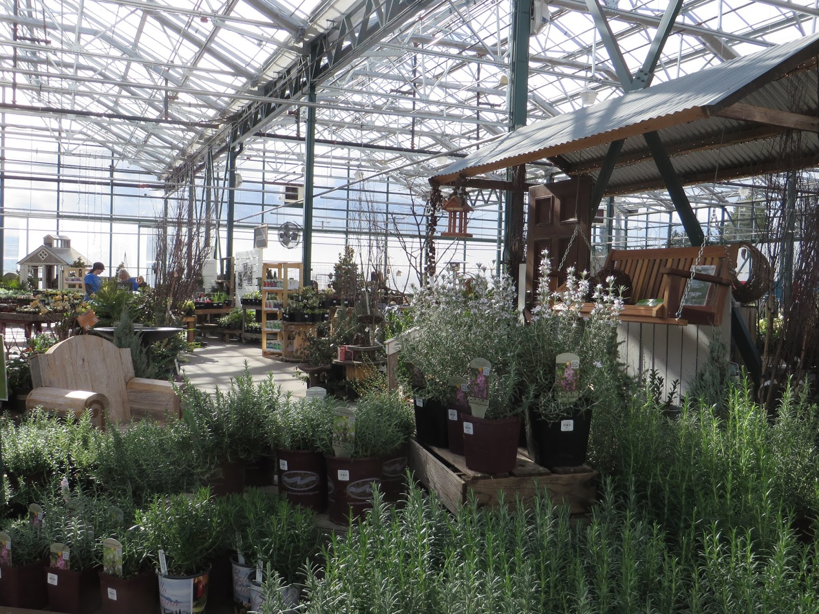Nursery Visit Sky Nursery Seattle