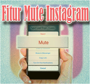 Instagram Resmi Merilis Fitur Mute (Bungkam), Begini Cara Menggunakannya