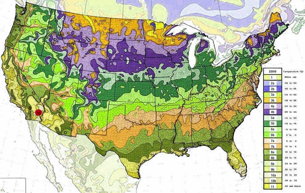 USDA Growing Zones Map How to Grow Peonies in Zone 10A.