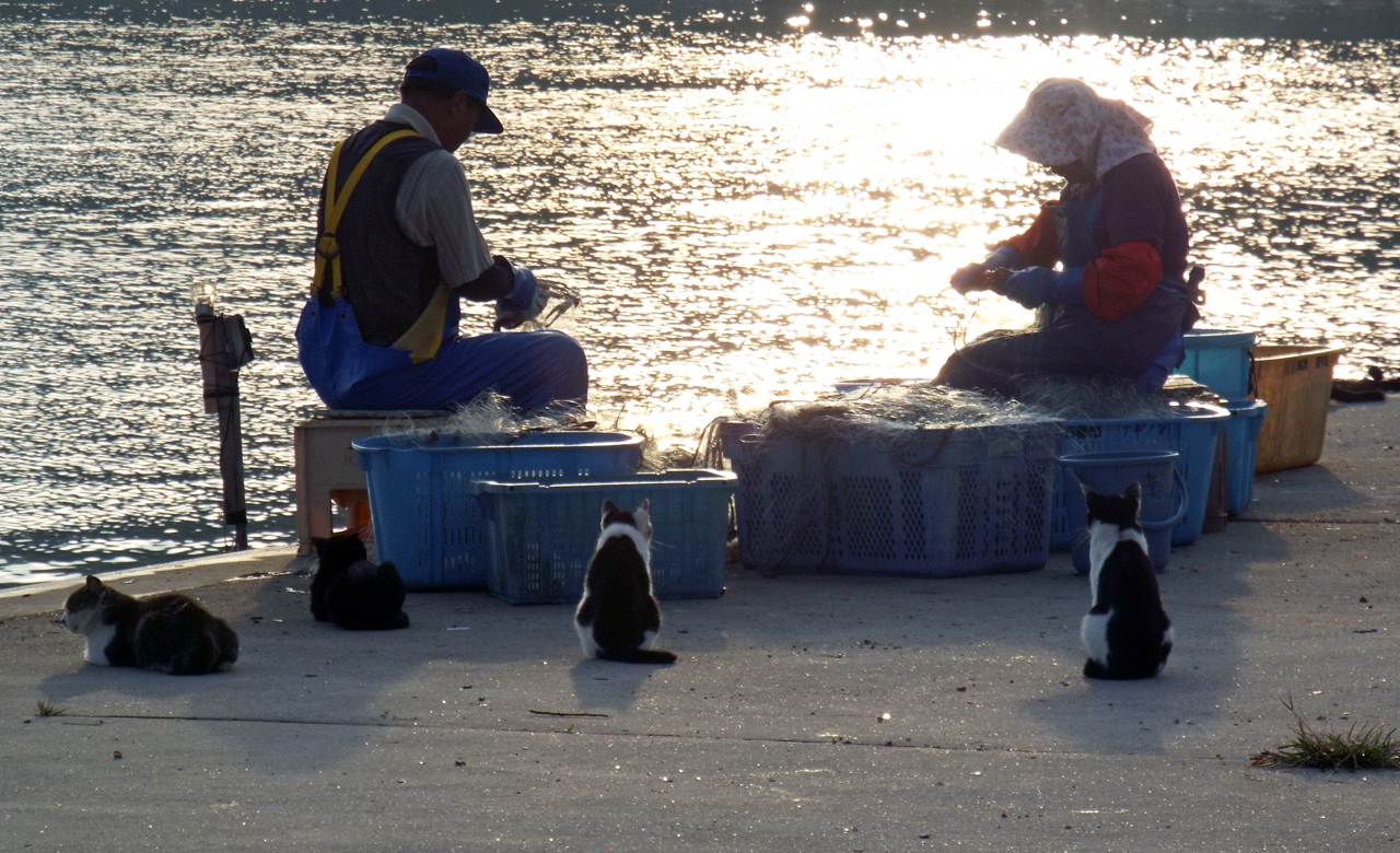 Tashirojima Tashirojima