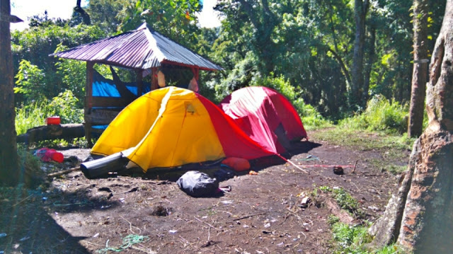 Pendakian Gunung Tambora via Desa Pancasila