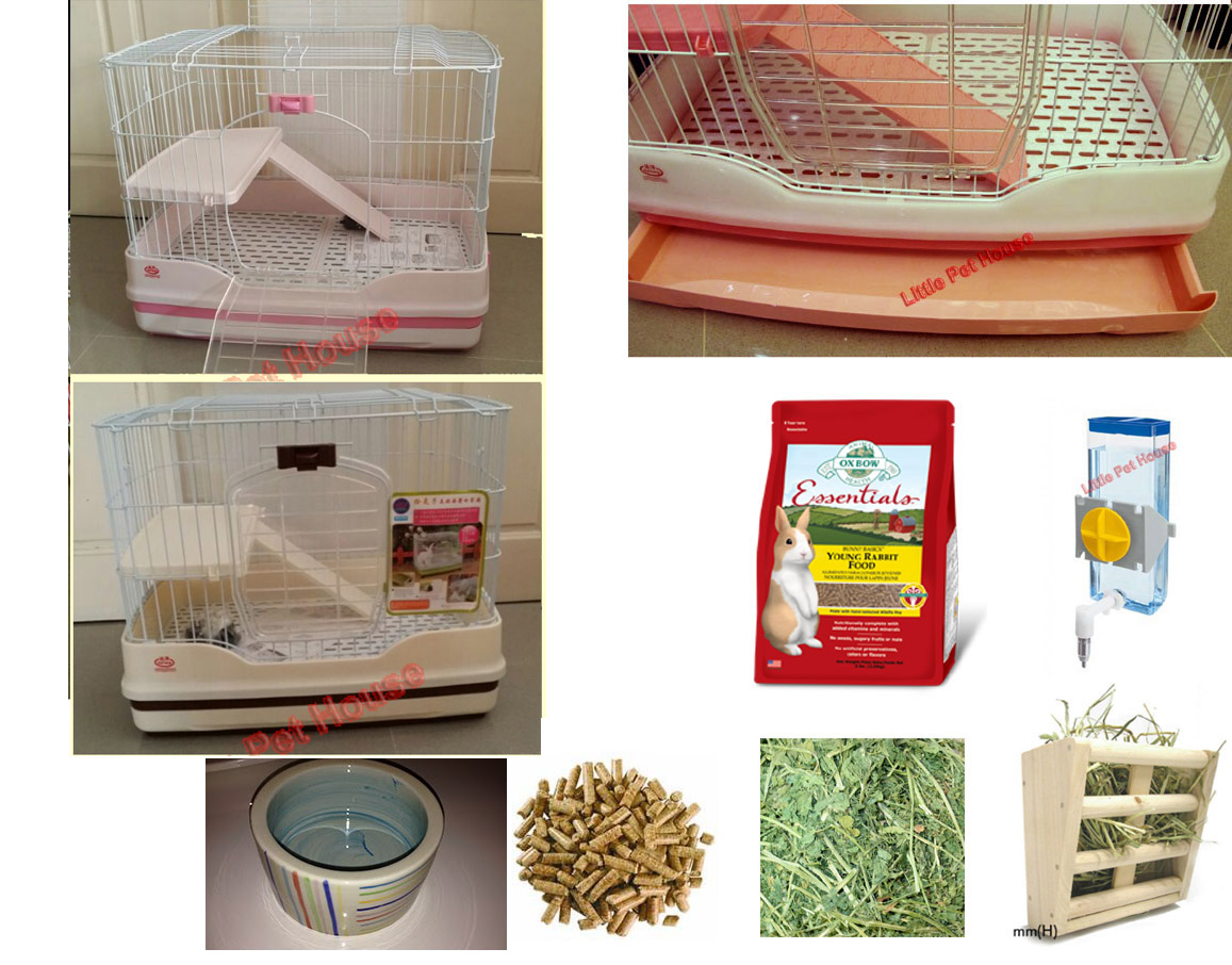 Little Pet House Your Budget Friendly Online Pet Shop in Singapore