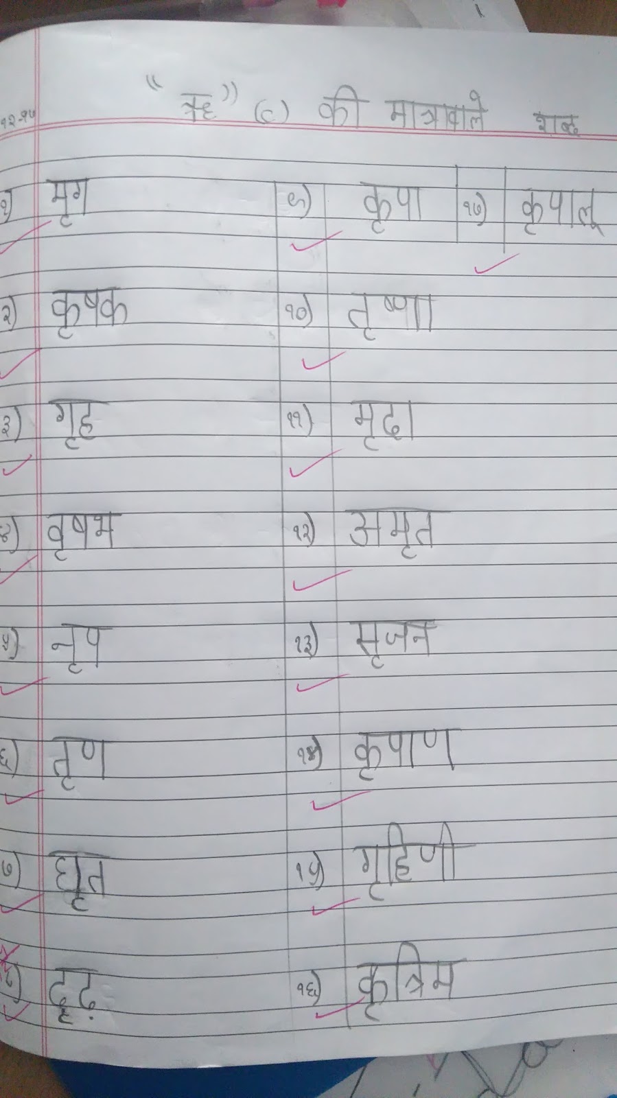 Hindi -' ri ' ki matra note book work