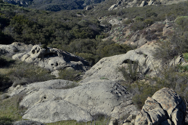 rock outcrop