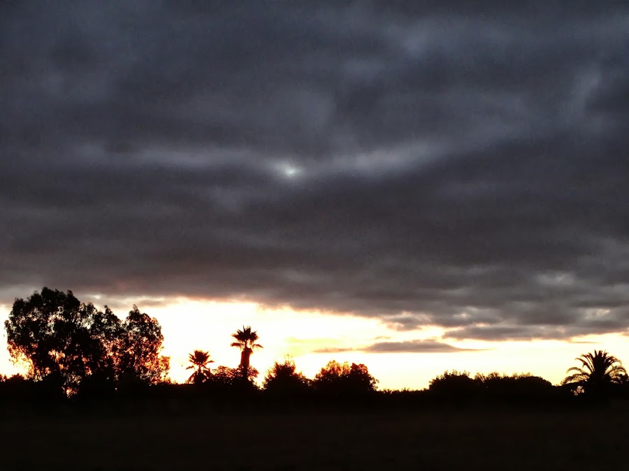 AMANECER EN EL TERRAO